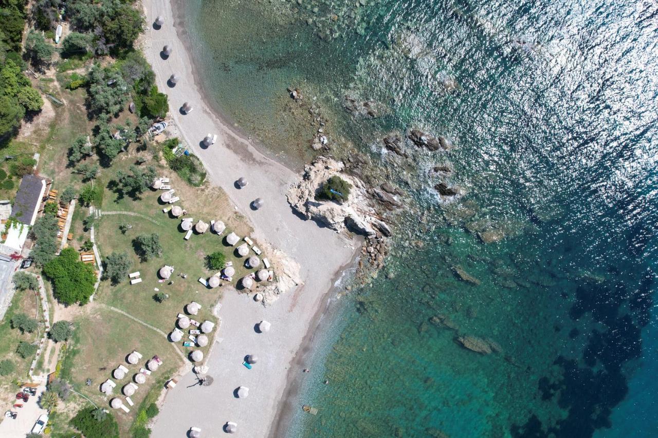 Kechria Bay Villas Skiathos stad Exteriör bild